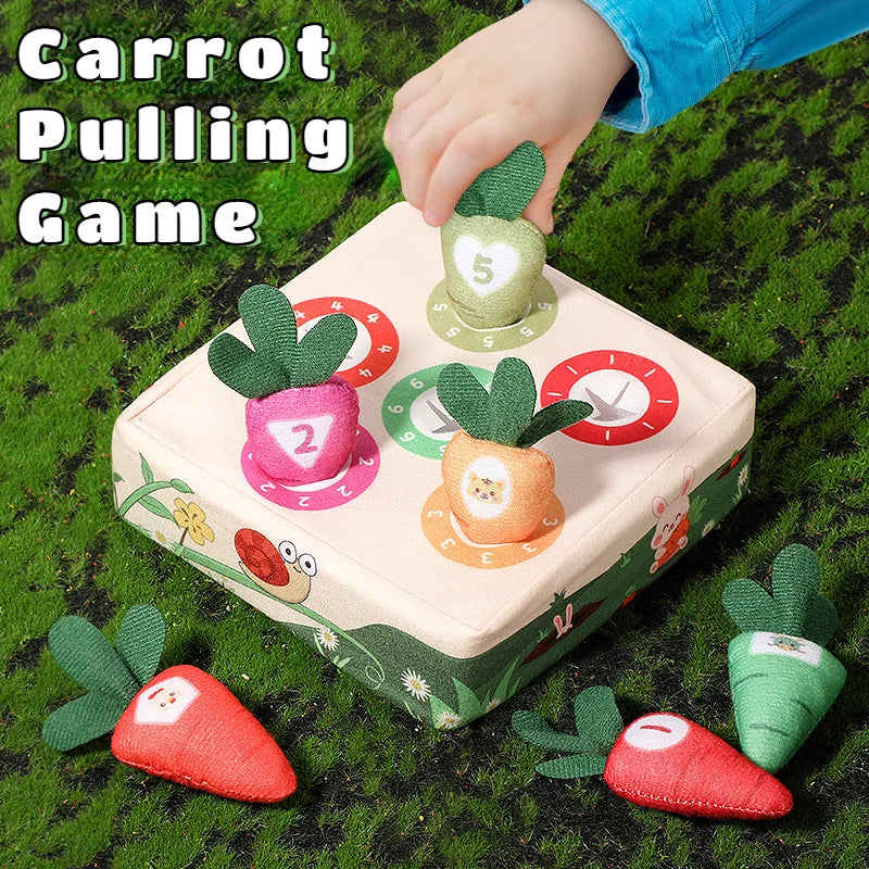 Montessori Fine Motor Skills Toy